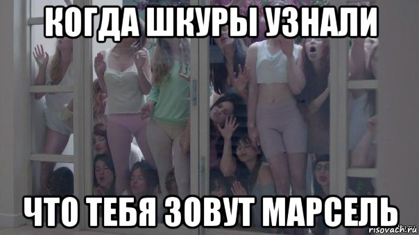 когда шкуры узнали что тебя зовут марсель, Мем Шкуры узнали