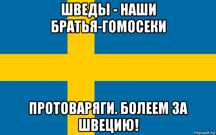 шведы - наши братья-гомосеки протоваряги. болеем за швецию!