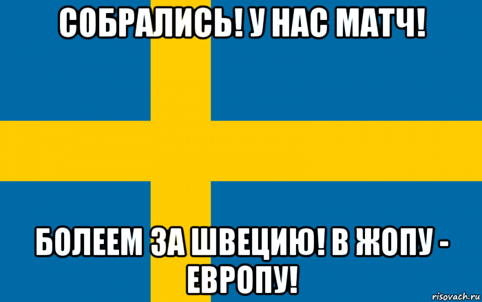 собрались! у нас матч! болеем за швецию! в жопу - европу!