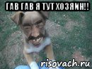гав гав я тут хозяин!! 