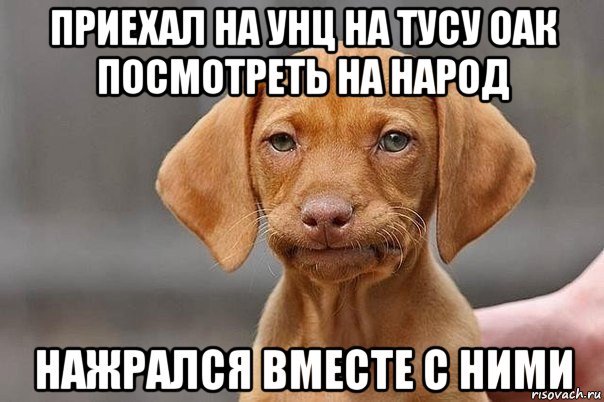 приехал на унц на тусу оак посмотреть на народ нажрался вместе с ними