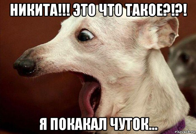 никита!!! это что такое?!?! я покакал чуток...