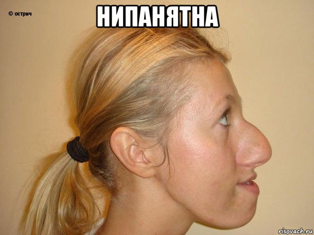 нипанятна 