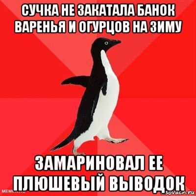 сучка не закатала банок варенья и огурцов на зиму замариновал ее плюшевый выводок, Мем  социально-агрессивный пингвин