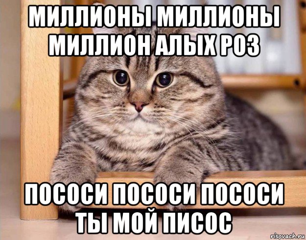 миллионы миллионы миллион алых роз пососи пососи пососи ты мой писос