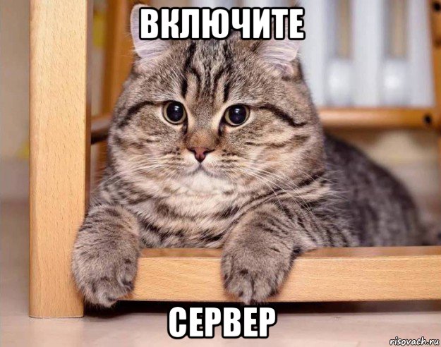 включите сервер