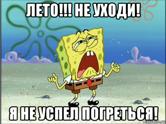 лето!!! не уходи! я не успел погреться!, Мем Спанч Боб плачет