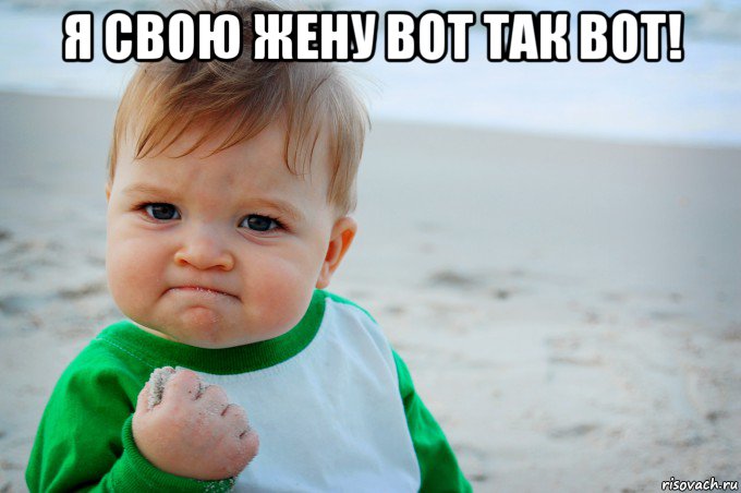 я свою жену вот так вот! , Мем Success Kid