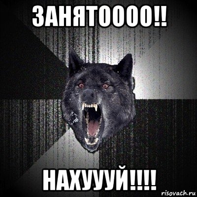 занятоооо!! нахуууй!!!!, Мем Сумасшедший волк