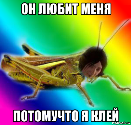 он любит меня потомучто я клей