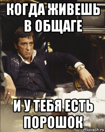 когда живешь в общаге и у тебя есть порошок