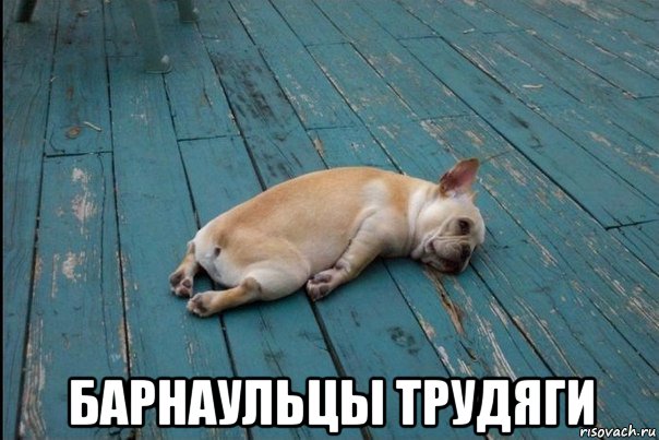  барнаульцы трудяги