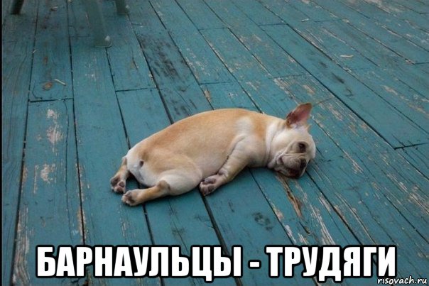  барнаульцы - трудяги