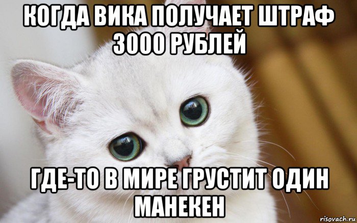 когда вика получает штраф 3000 рублей где-то в мире грустит один манекен, Мем  В мире грустит один котик