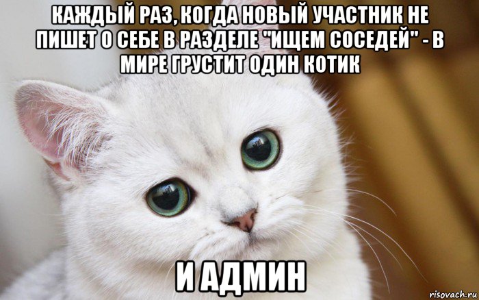 каждый раз, когда новый участник не пишет о себе в разделе "ищем соседей" - в мире грустит один котик и админ, Мем  В мире грустит один котик