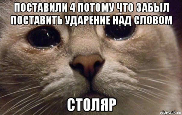 поставили 4 потому что забыл поставить ударение над словом столяр, Мем   В мире грустит один котик