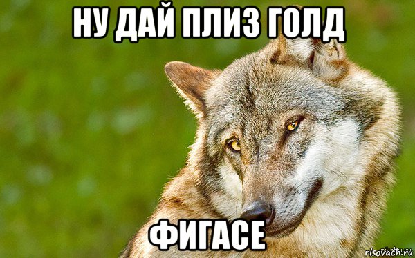 ну дай плиз голд фигасе, Мем   Volf