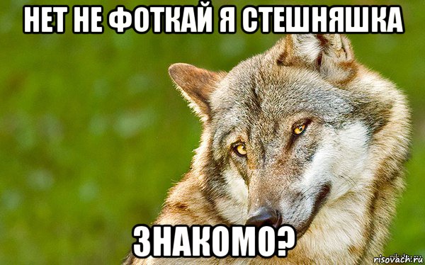 нет не фоткай я стешняшка знакомо?, Мем   Volf