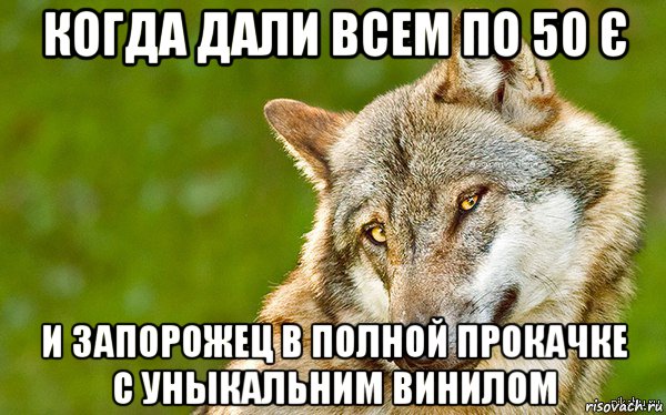 когда дали всем по 50 є и запорожец в полной прокачке с уныкальним винилом, Мем   Volf