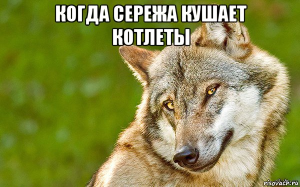 когда сережа кушает котлеты , Мем   Volf