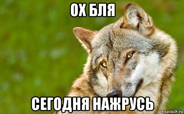 ох бля сегодня нажрусь, Мем   Volf