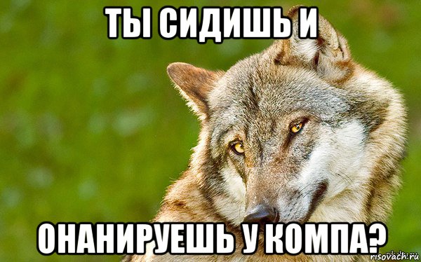 ты сидишь и онанируешь у компа?, Мем   Volf