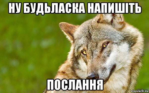 ну будьласка напишіть послання, Мем   Volf