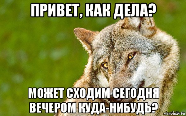 привет, как дела? может сходим сегодня вечером куда-нибудь?, Мем   Volf