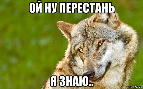 ой ну перестань я знаю.., Мем   Volf