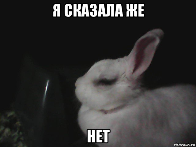 я сказала же нет, Мем я не обиделась