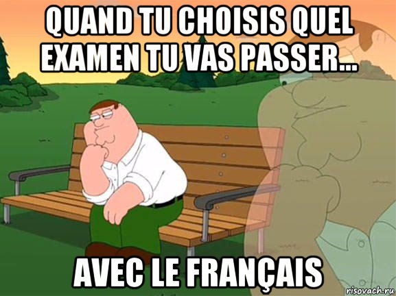 quand tu choisis quel examen tu vas passer... avec le français, Мем Задумчивый Гриффин