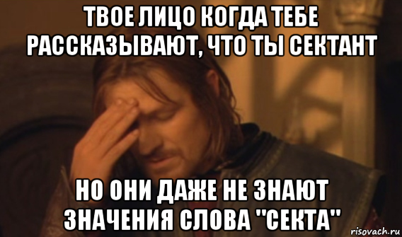 твое лицо когда тебе рассказывают, что ты сектант но они даже не знают значения слова "секта", Мем Закрывает лицо