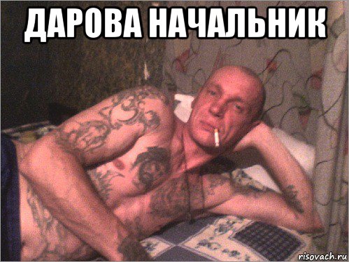 дарова начальник 