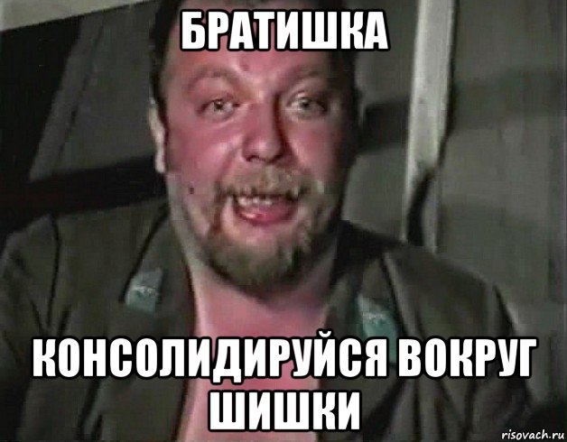 братишка консолидируйся вокруг шишки