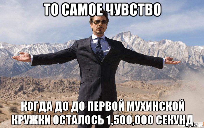 то самое чувство когда до до первой мухинской кружки осталось 1,500,000 секунд, Мем железный человек