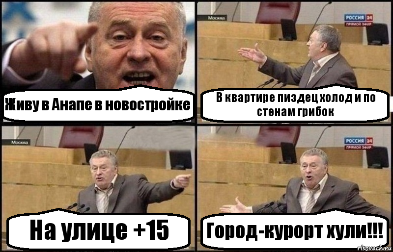 Живу в Анапе в новостройке В квартире пиздец холод и по стенам грибок На улице +15 Город-курорт хули!!!, Комикс Жириновский