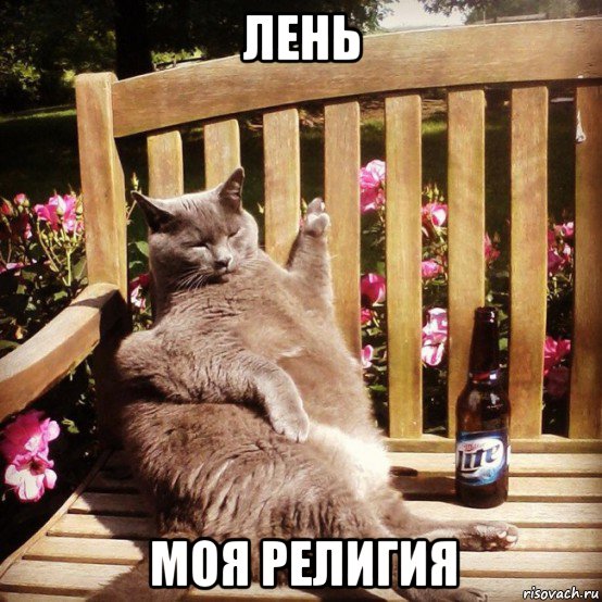 лень моя религия, Мем Жирный кот