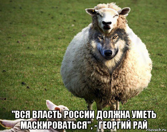  "вся власть россии должна уметь маскироваться", - георгий рай, Мем Злая Овца