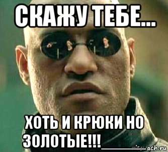 скажу тебе... хоть и крюки но золотые!!!_____