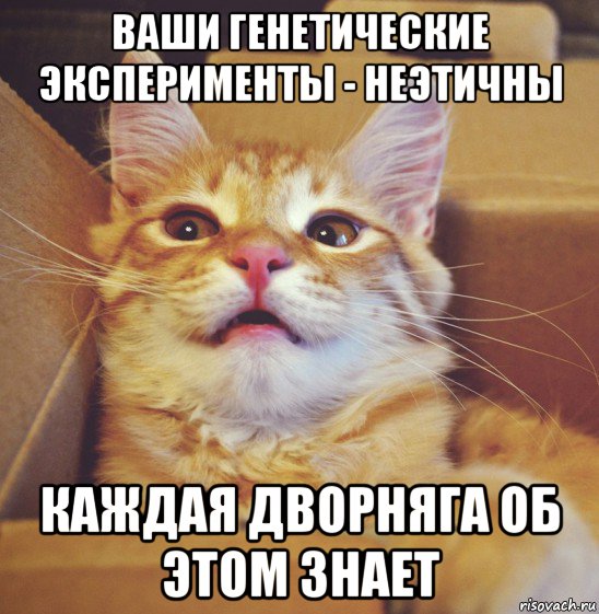 ваши генетические эксперименты - неэтичны каждая дворняга об этом знает, Мем А что если