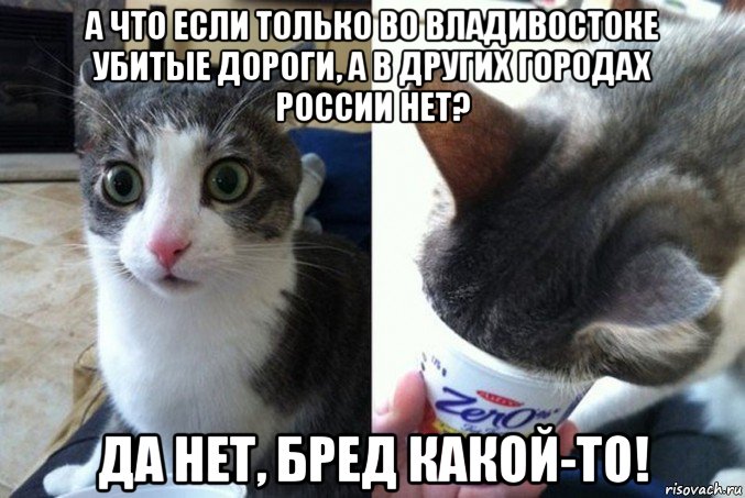 а что если только во владивостоке убитые дороги, а в других городах россии нет? да нет, бред какой-то!, Мем А что если