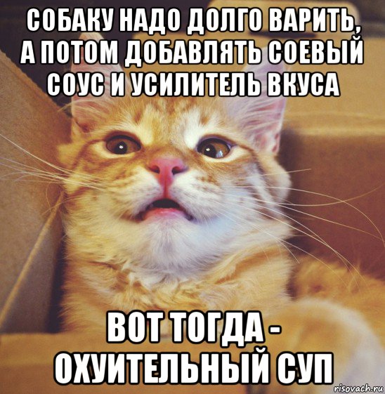 собаку надо долго варить, а потом добавлять соевый соус и усилитель вкуса вот тогда - охуительный суп, Мем А что если