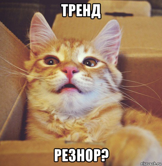 тренд резнор?