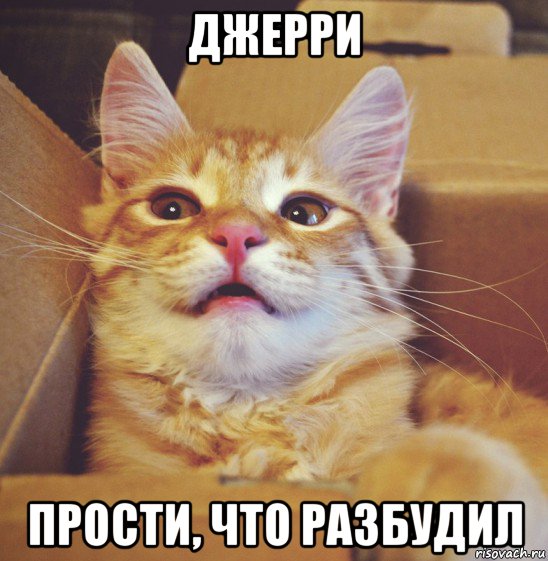 джерри прости, что разбудил