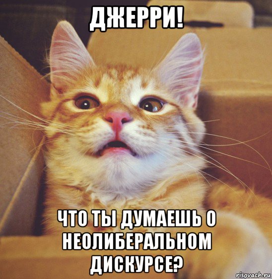 джерри! что ты думаешь о неолиберальном дискурсе?