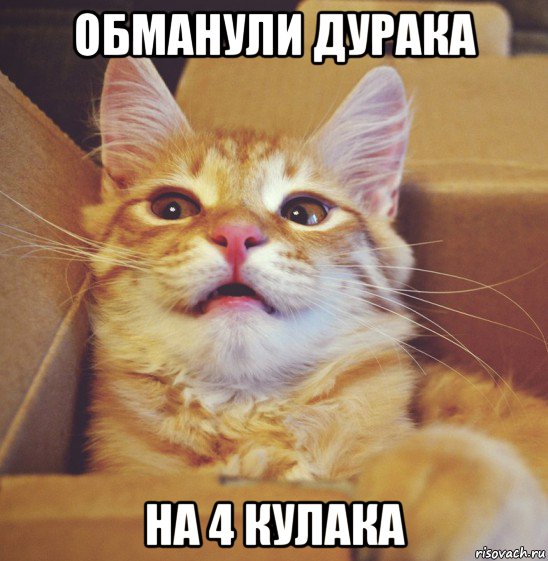 обманули дурака на 4 кулака