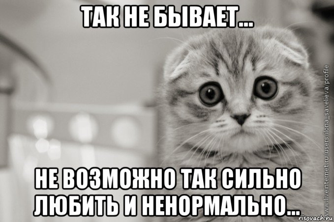 так не бывает... не возможно так сильно любить и ненормально...