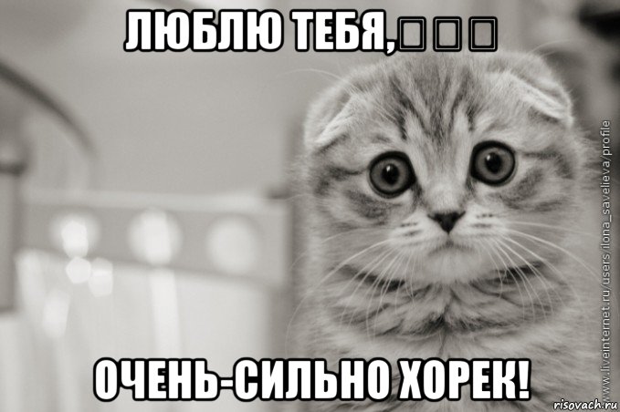люблю тебя,❤❤❤ очень-сильно хорек!