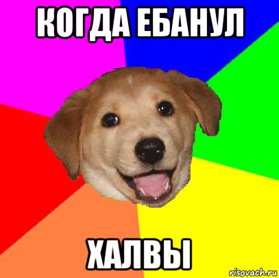 когда ебанул халвы, Мем Advice Dog