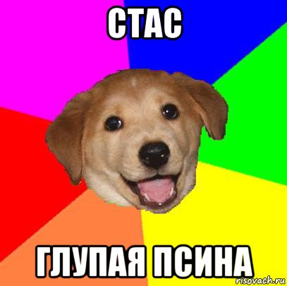 стас глупая псина, Мем Advice Dog